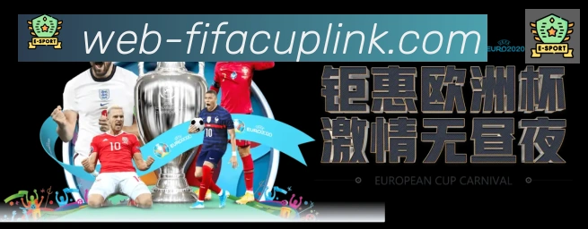 未来规划